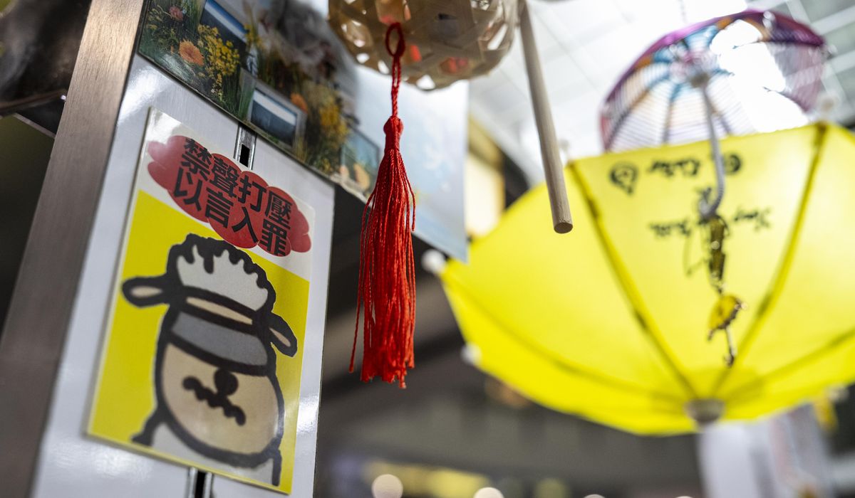 NextImg:Hong Kong universities field hundreds of transfer requests from U.S. students