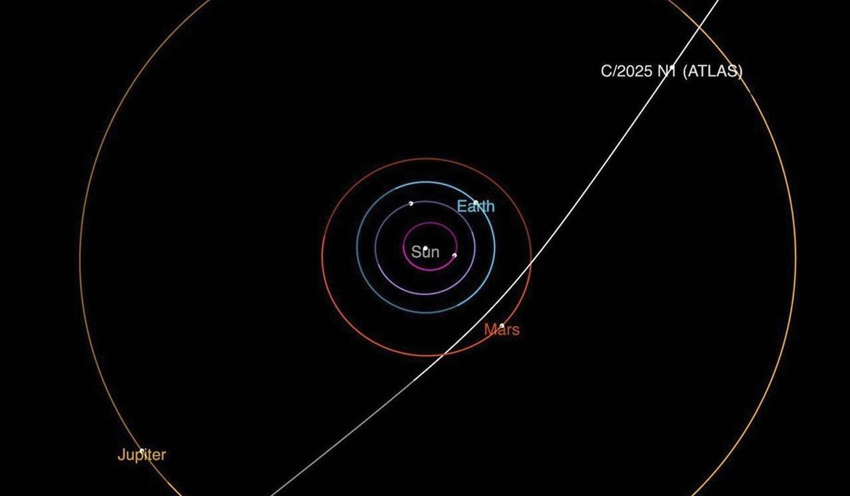 NextImg:NASA identifies newly discovered object as an interstellar comet that will keep a safe distance