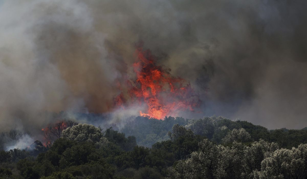 NextImg:Elderly man dies as wildfires rage in Turkey, forcing evacuations and road closures