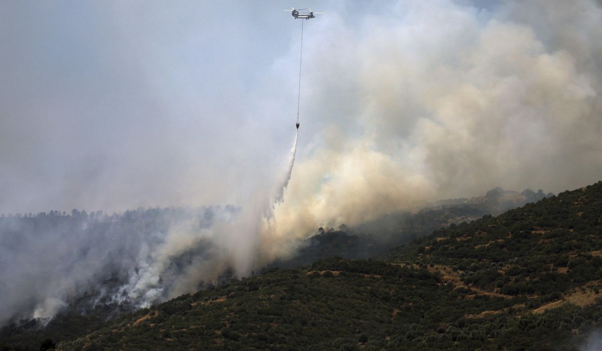 NextImg:Wildfire in Greece prompts evacuation while firefighters tackle blazes in Turkey and Syria