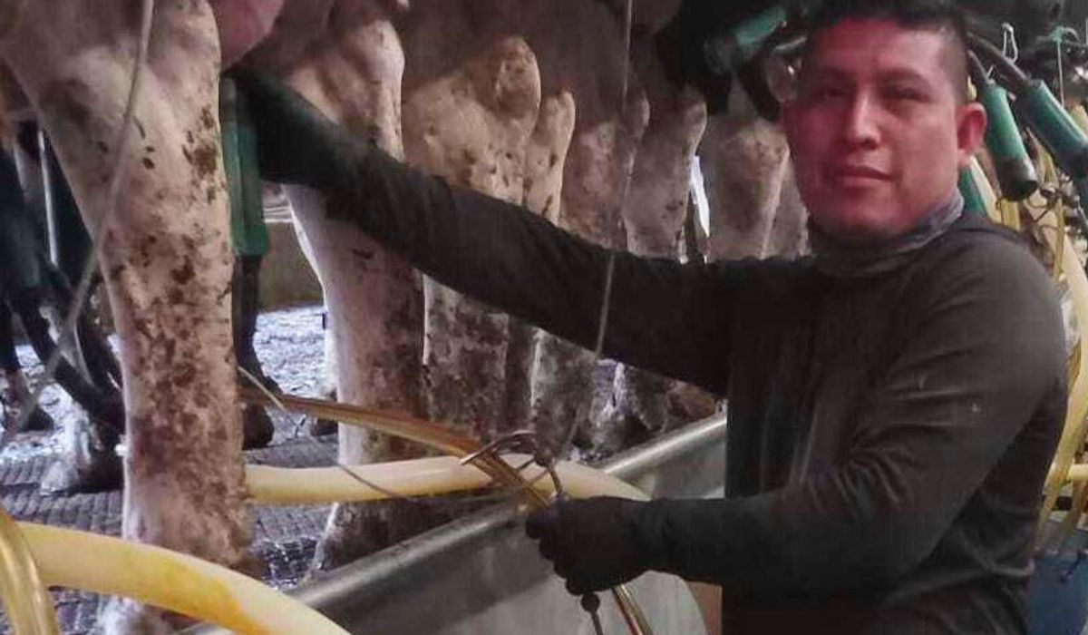 NextImg:A Vermont dairy farm was raided. The mixed messages from Washington since then have increased fears