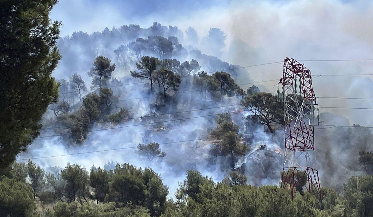 NextImg:Marseille airport suspends flights due to wildfire as public warned to stay at home