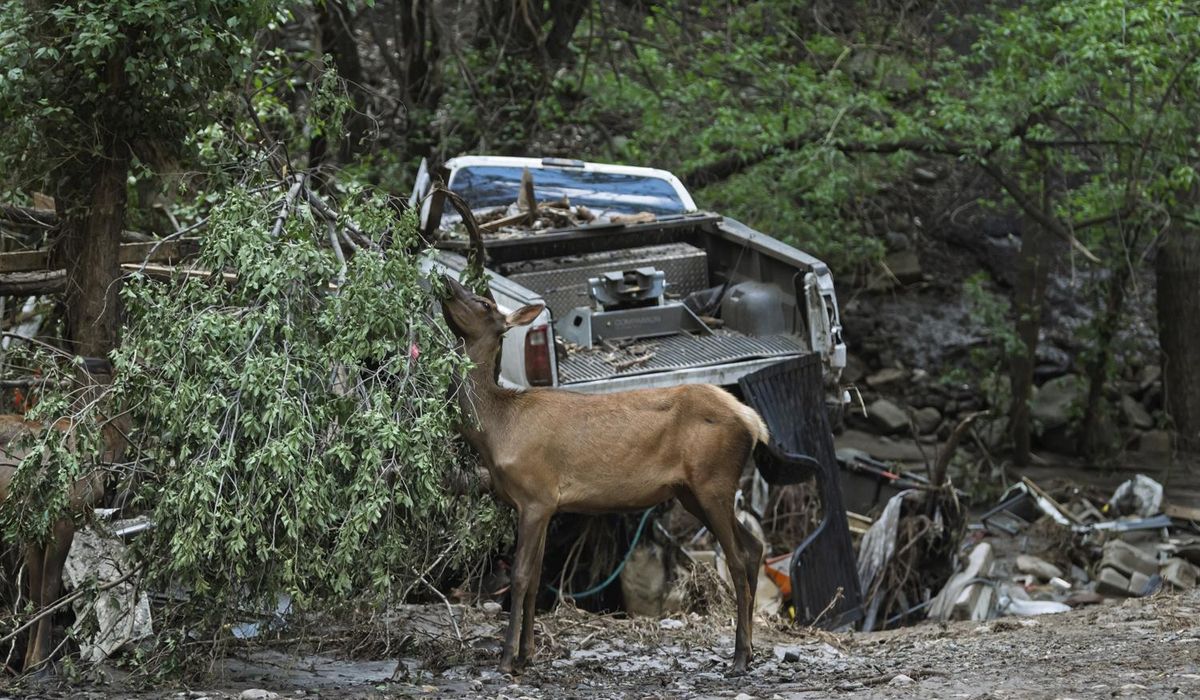 NextImg:New Mexico mountain village braces for more rain following deadly flash flooding