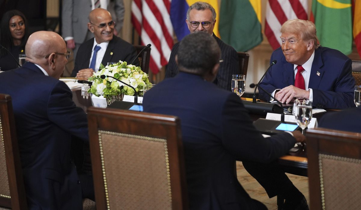 NextImg:African leaders pitch Trump on U.S. investment opportunities as president seeks to curb foreign aid