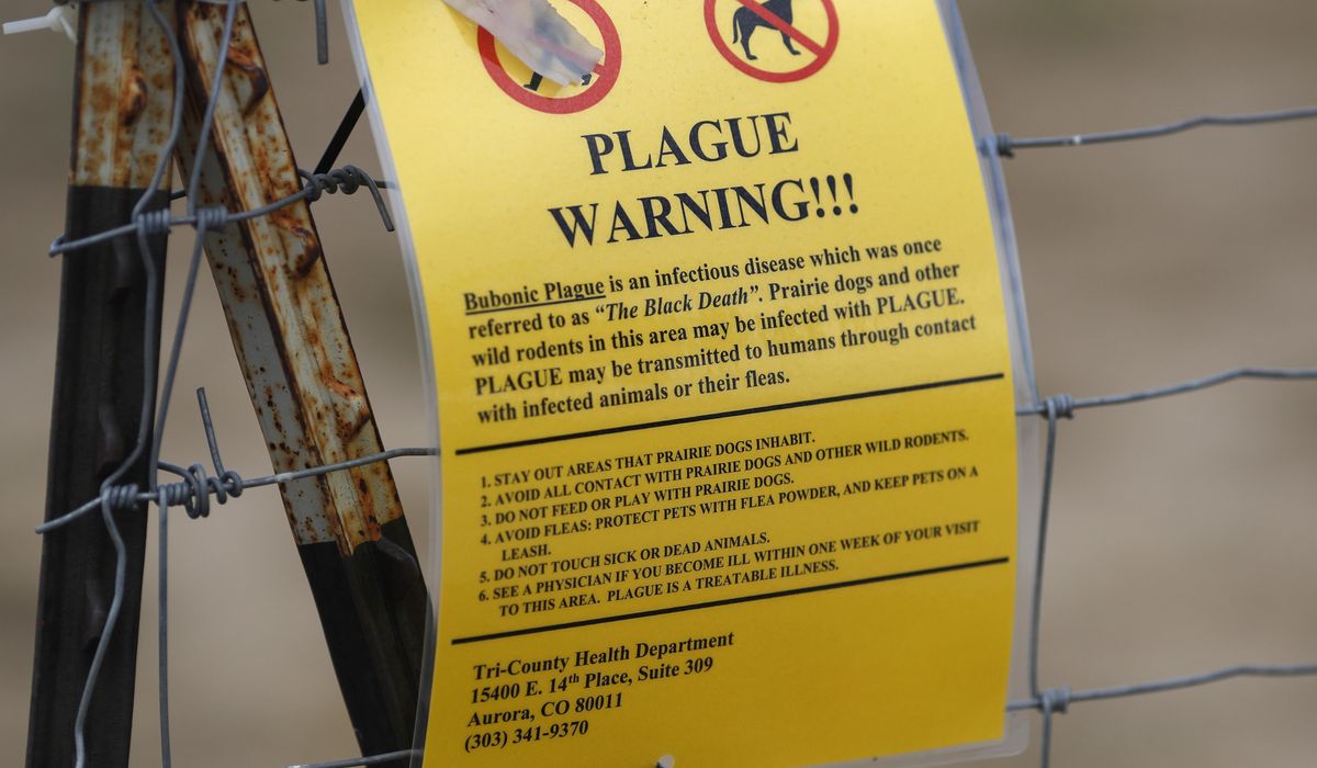 NextImg:Arizona county records first death from pneumonic plague in 18 years