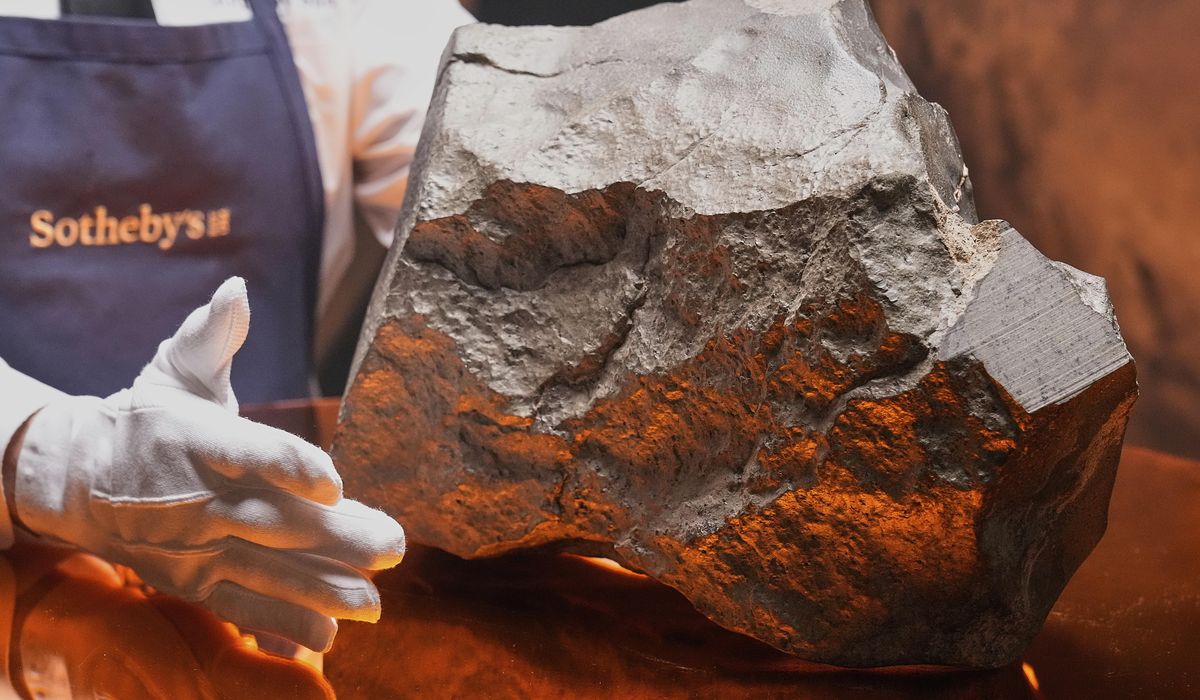 NextImg:Largest Martian meteorite going up for auction in New York