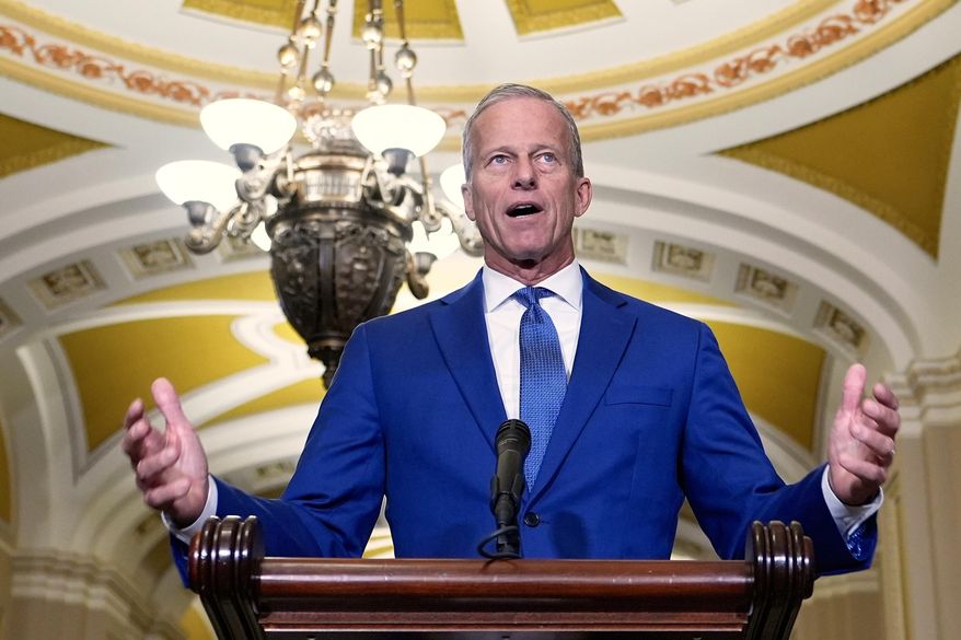 Sen. Majority Leader John Thune, R-S.D., talks after a policy luncheon on Wednesday, July 9, 2025, at the Capitol in Washington. (AP Photo/Mariam Zuhaib) ** FILE **