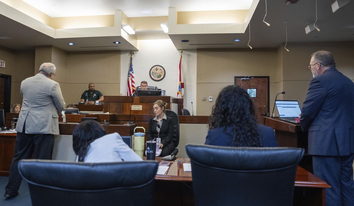 NextImg:Florida State student accused in a mass shooting is set to go to trial in November