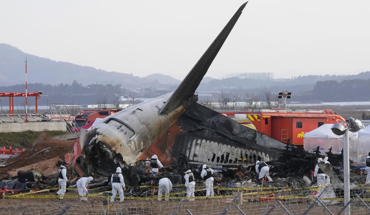 NextImg:Initial investigation into South Korea’s Jeju Air crash hints at pilot error, angering families