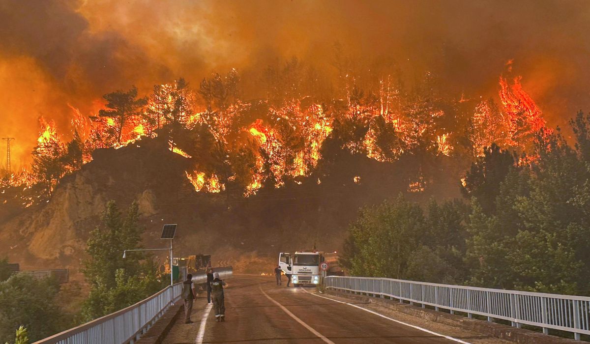 NextImg:Wildfires threaten Turkey’s fourth-largest city as southern Europe grapples with blazes