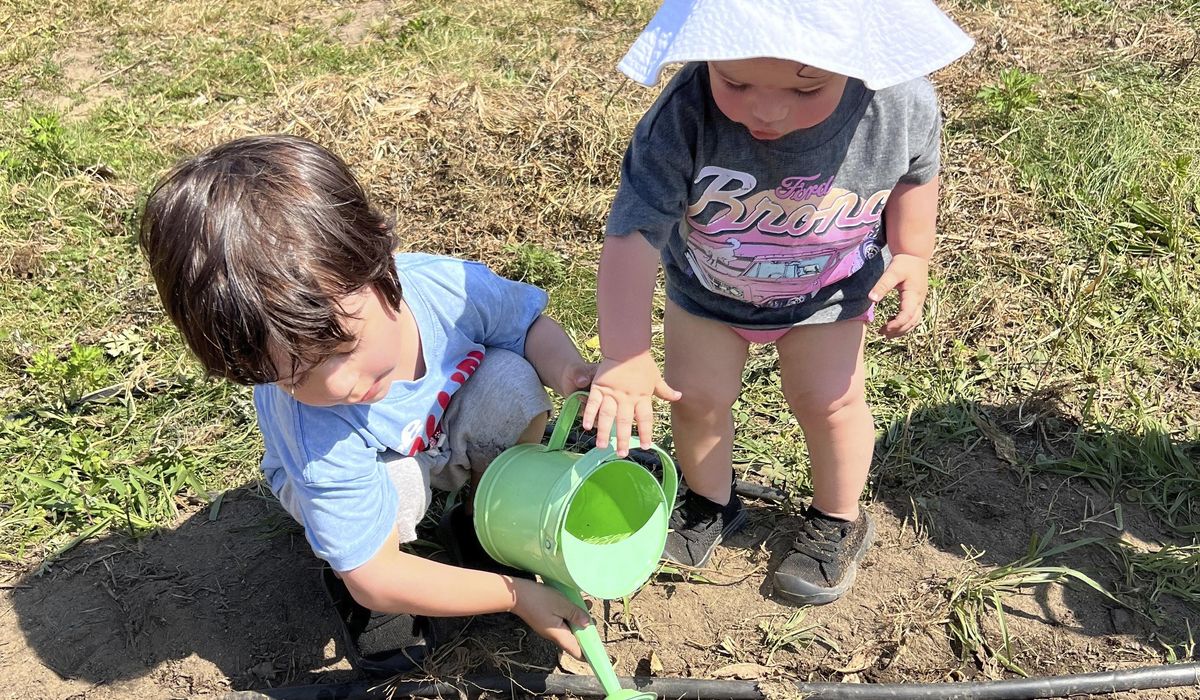 NextImg:Let kids create their own garden, and other tips for instilling a love for growing things