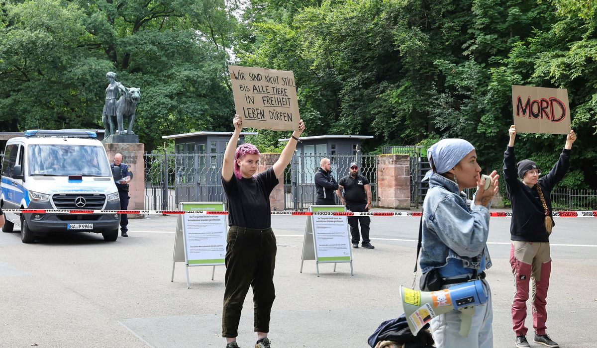 NextImg:German zoo kills 12 baboons that it didn’t have enough space to house, despite protests