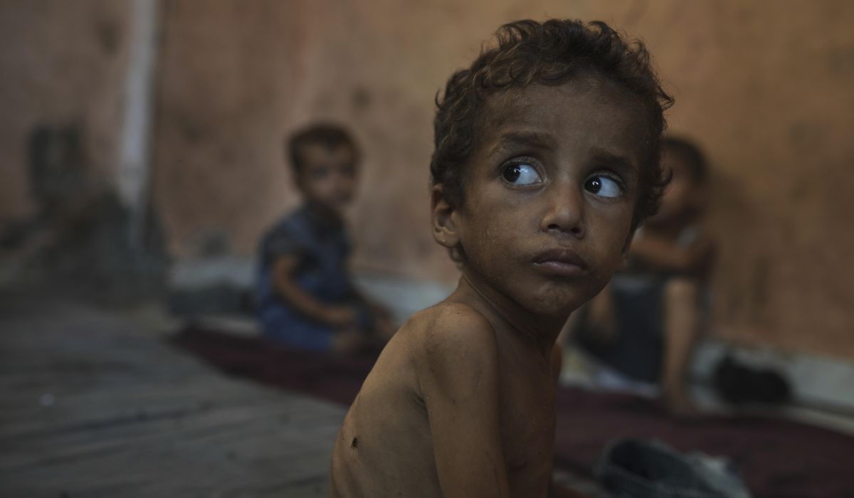 NextImg:Democrats implore Trump to step up role in addressing suffering and starvation in Gaza