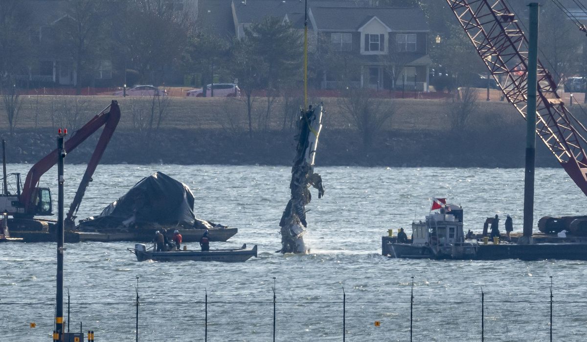 NextImg:Man finds debris in Potomac River possibly from January’s fatal plane-helicopter collision