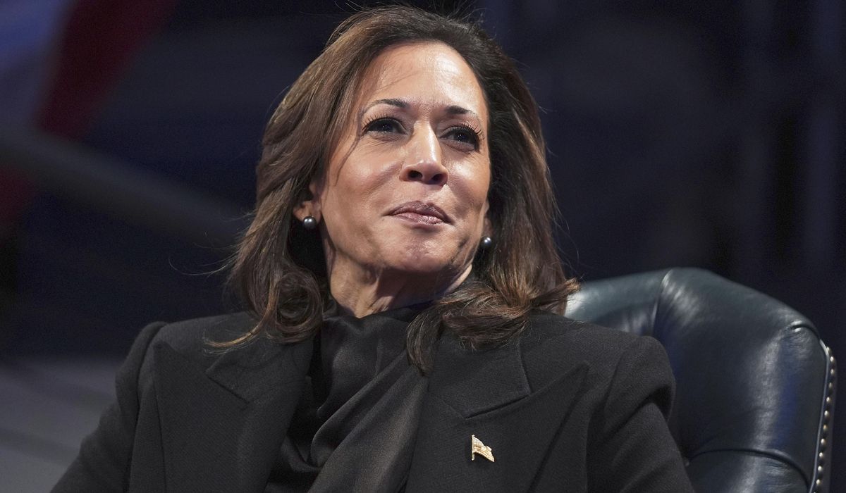 NextImg:Kamala Harris will release ‘107 Days,’ a behind-the-scenes look at her historic presidential run
