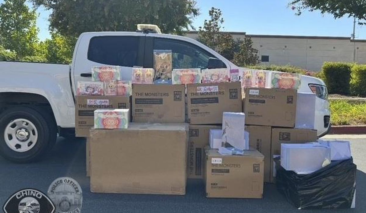 NextImg:$30,000 in stolen Labubu collectibles recovered by police in California