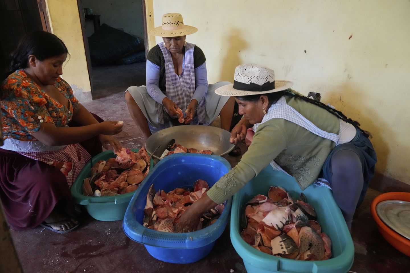 Bolivia's Supreme Court issues rare order that could see detained right-wing politicians freed