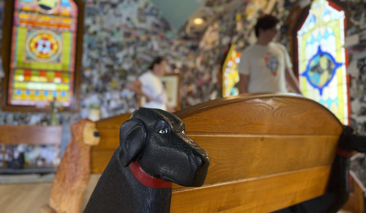 NextImg:A massive mountain park in Vermont celebrates the bond between dogs and their humans