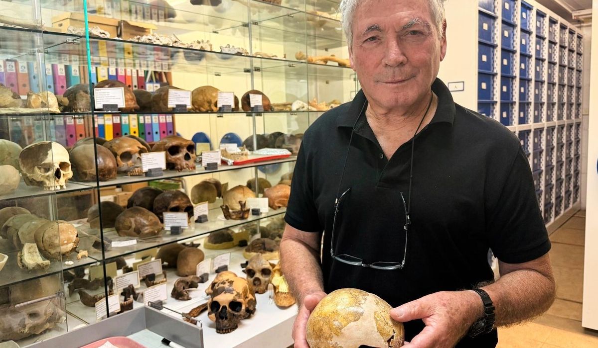 NextImg:Bones of ancient child suggest humans could have interbred with Neanderthals earlier than thought