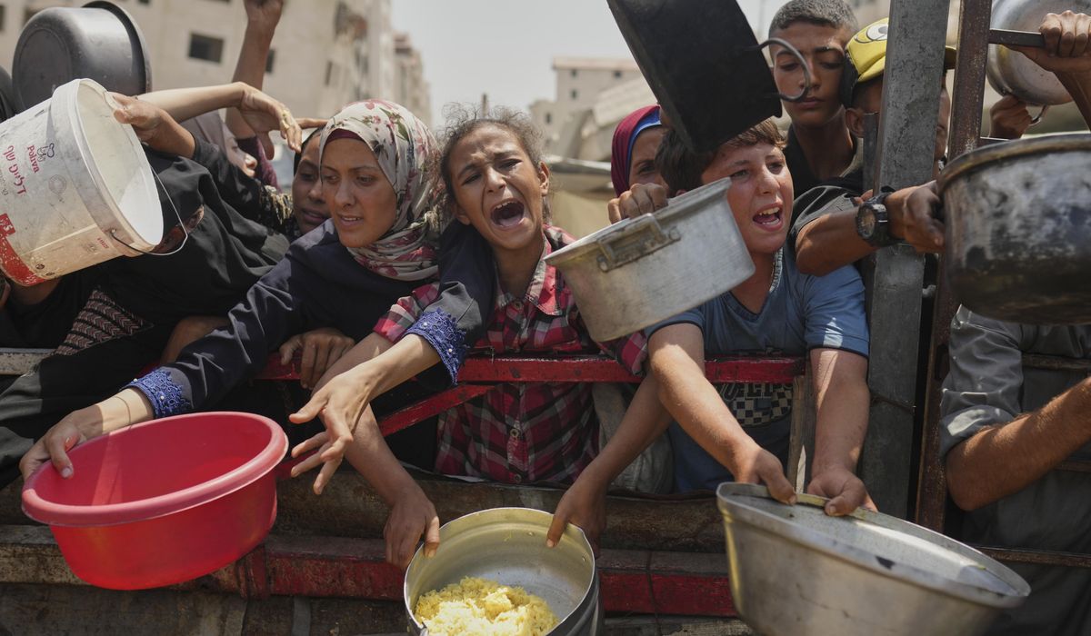 NextImg:Famine grips Gaza’s largest city and is likely to spread, authority on food crises says
