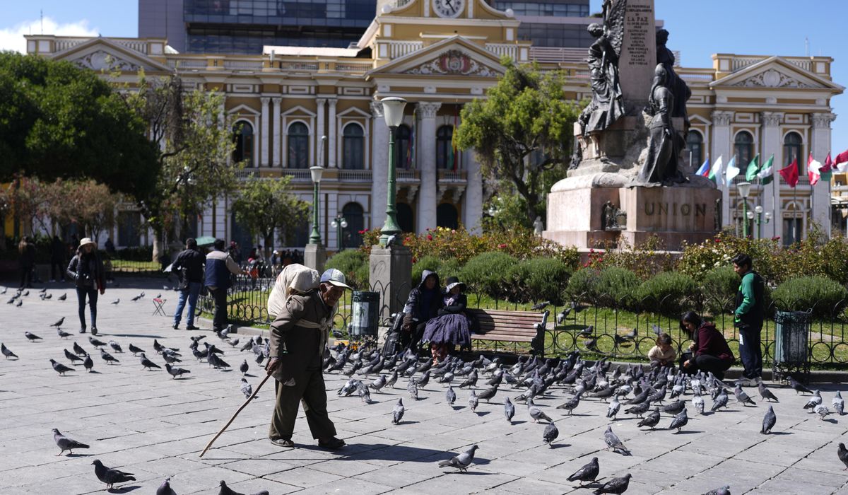 NextImg:Bolivia’s long-ruling party was almost eliminated from Congress, final vote results show