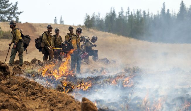 A wildland fire crew looks on after setting a fire line on Harlow Ridge above the Lick Creek Fire, July 12, 2021, south of Asotin, Wash. (Pete Caster/Lewiston Tribune via AP, File)