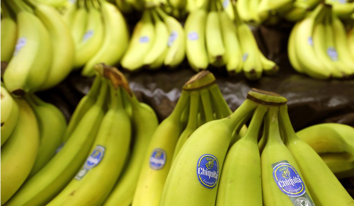 NextImg:Panama signs agreement with banana giant Chiquita Brands to resume operations after strike