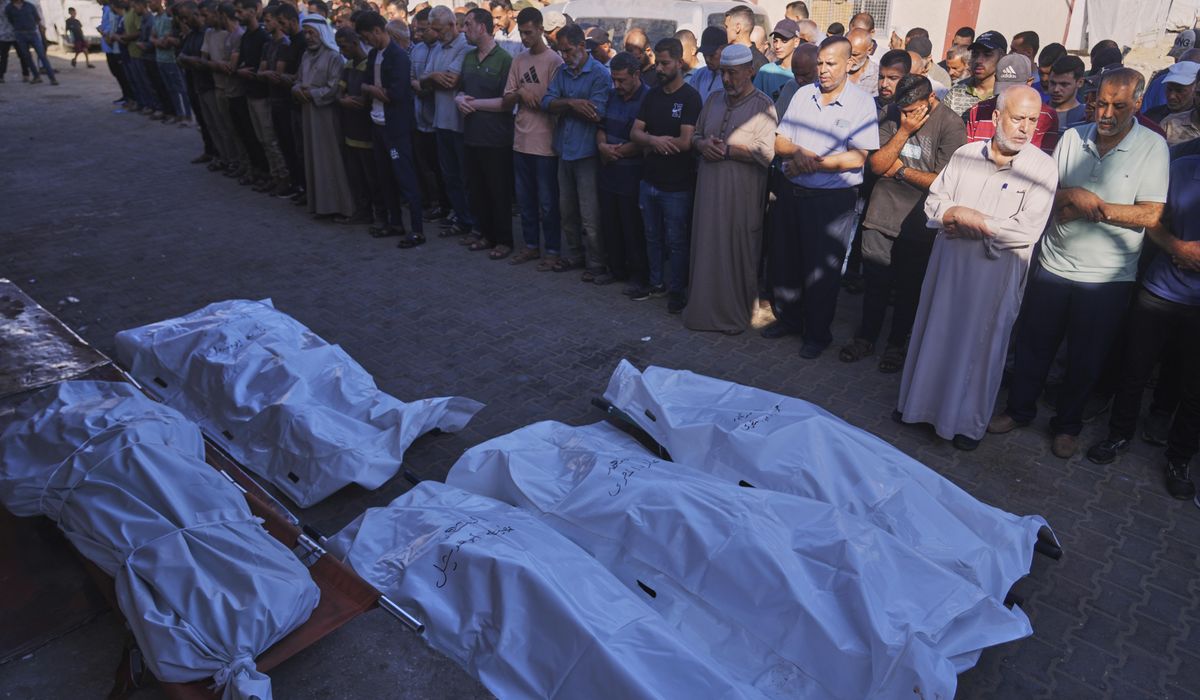 NextImg:Strikes across Gaza kill at least 31 as international scholars accuse Israel of genocide