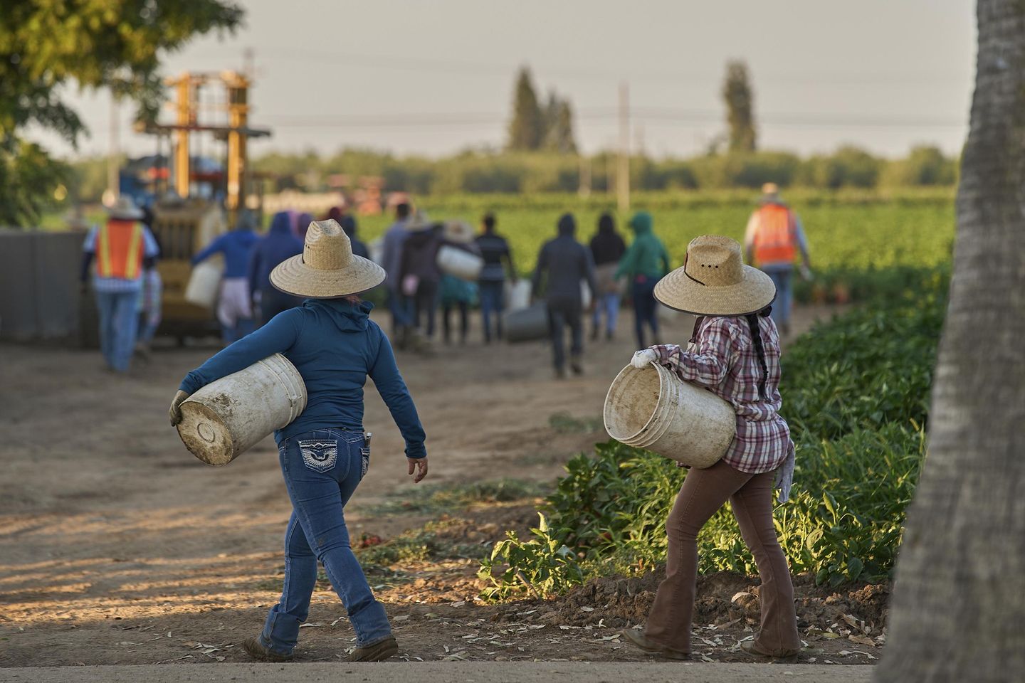 1.2 million immigrants are gone from the U.S. labor force under Trump, preliminary data shows