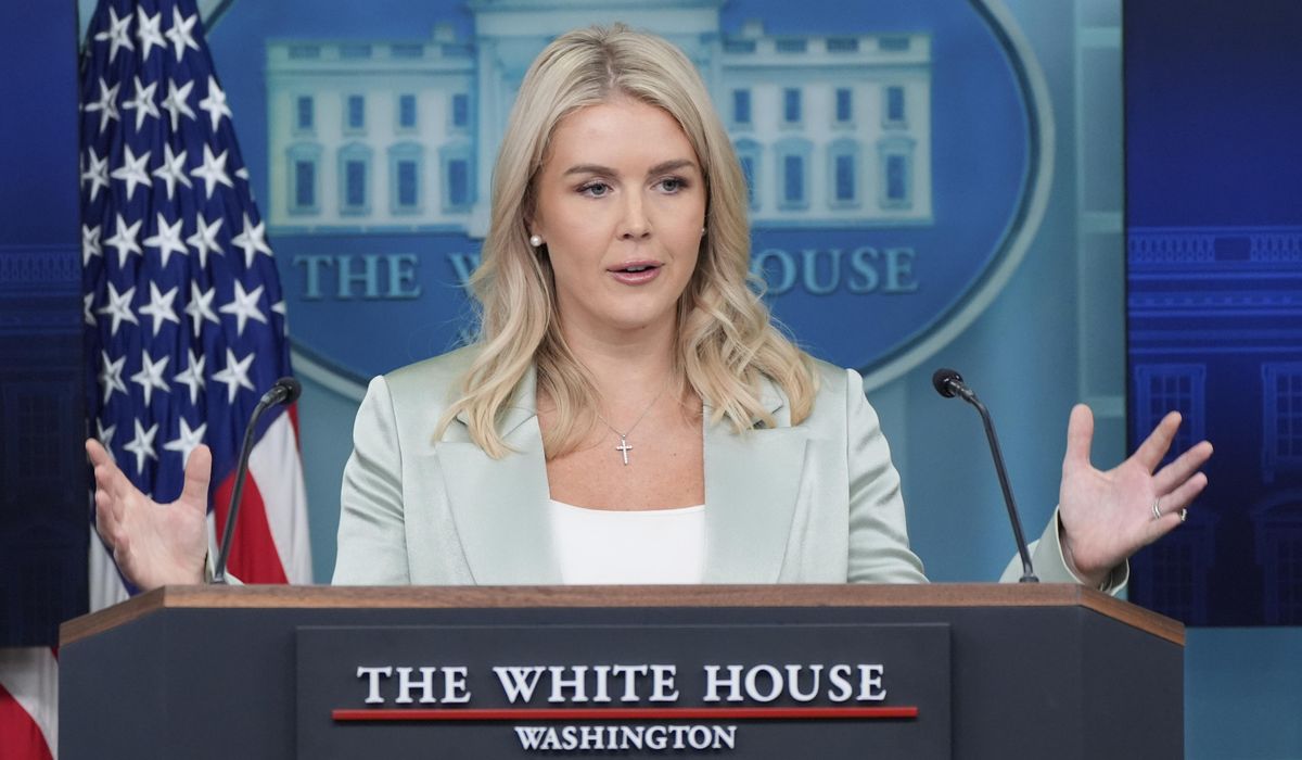 NextImg:Karoline Leavitt criticizes House Democrats who voted against Charlie Kirk resolution