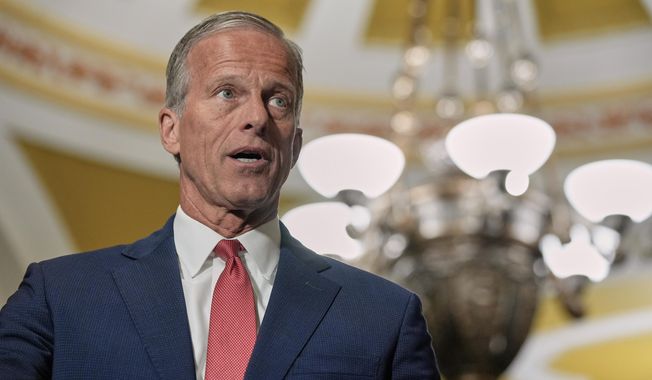 Sen. Majority Leader John Thune, R-S.D., speaks during a news conference after a policy luncheon at the CapitolTuesday, Sept. 9, 2025, in Washington. (AP Photo/Mariam Zuhaib)