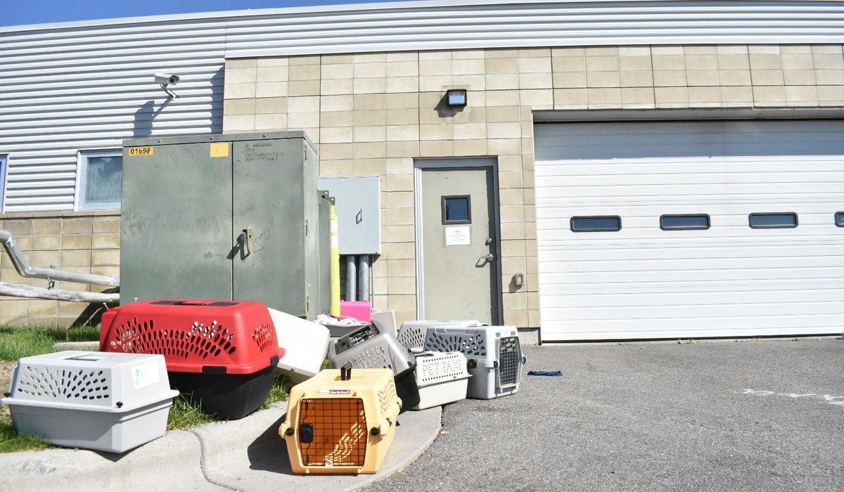 NextImg:Billings, Montana, animal shelter evacuated after inhaling narcotics smoke