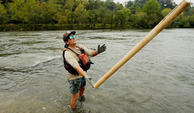 Leslie Beninato, river cleanup logistics manager of MountainTrue, removes a PVC pipe from the French Broad River on Wednesday, Sept. 17, 2025, in Asheville, N.C. (AP Photo/Chris Carlson)