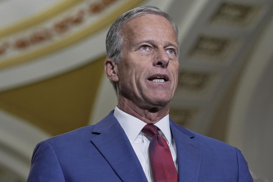 Sen. Majority Leader John Thune, R-S.D., speaks during a news conference after a policy luncheon at the Capitol, Tuesday, Sept. 16, 2025, in Washington. (AP Photo/Mariam Zuhaib) ** FILE **