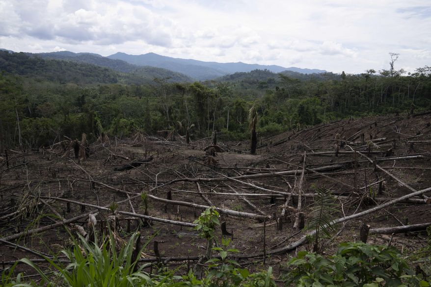 FILE - Cut down trees lie within view of the Cordillera Azul National Park, seen in the background near Chambira community, in Peru's Amazon, Oct. 3, 2022. (AP Photo/Martin Mejia, File)
