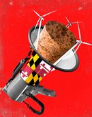 B3kaneLGmarylandclimatelaws.jpg