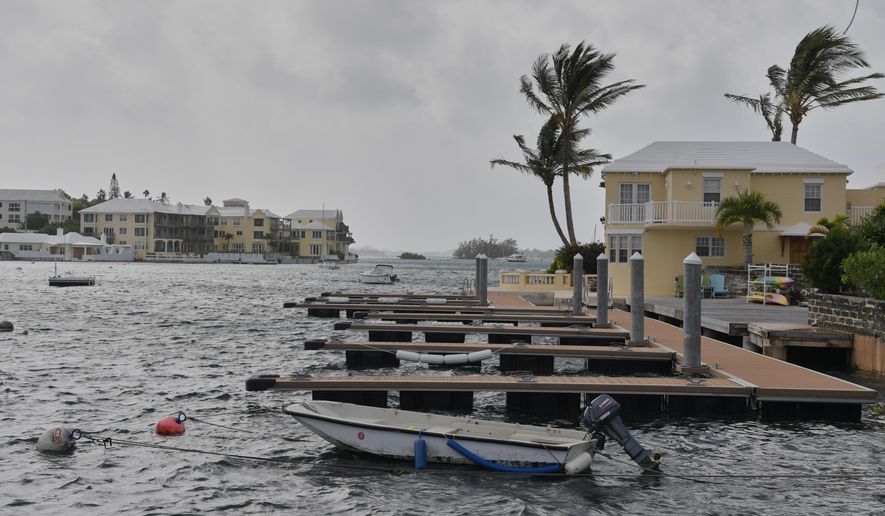 Trees blow in the wind on a pier ahead of Hurricane Imelda's expected arrival in Hamilton, Bermuda, Wednesday, Oct. 1, 2025. (AP Photo/Anthony Wade)