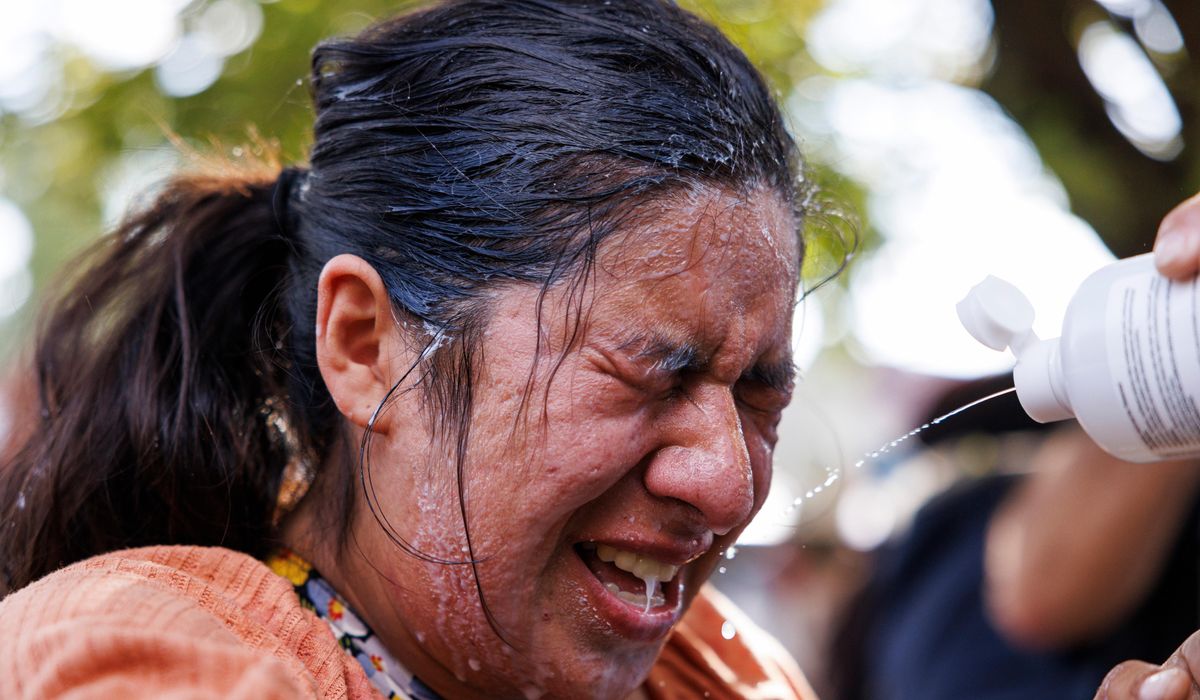 NextImg:Judge tells feds to restrict use of tear gas, other riot controls in Illinois