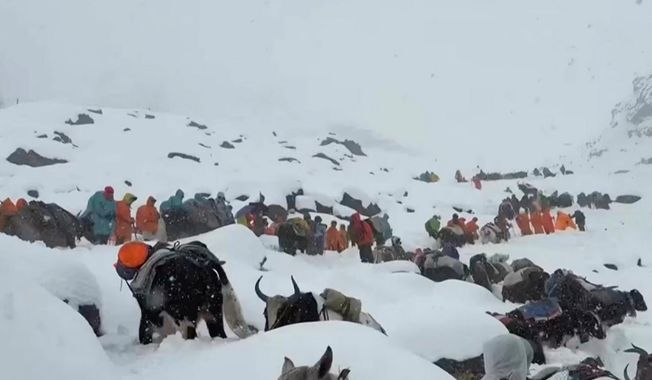 In this photo taken Oct. 4, 2025, and released by Lingsuiye, villagers with their oxen and horses ascend the mountain during rescue efforts to reach hundreds of hikers trapped by heavy snow at tourist campsites on a slope of Mount Everest in Tibet on Sunday, Oct. 5, 2025. (Lingsuiye via AP)
