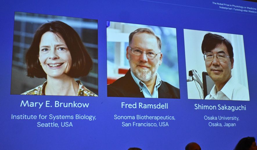 A screen showing the photos of Mary E Brunkow, Fred Ramsdell and Shimon Sakaguchi who were awarded the Nobel Prize in Medicine or Physiology, at the Nobel Assembly of the Karolinska Institutet, in Stockholm, Sweden, Monday, Oct. 6, 2025. (Claudio Bresciani/TT News Agency via AP)