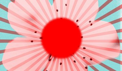 Japan's government illustration by Alexander Hunter/The Washington Times