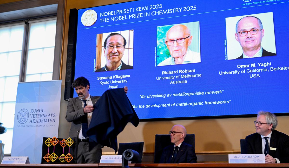 NextImg:Molecular discovery that won Nobel Prize in chemistry is likened to ‘Harry Potter’ enchanted handbag