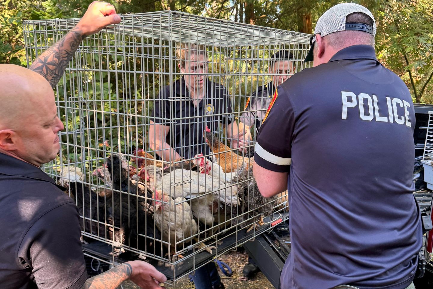 New York woman arrested, accused of hoarding animals in home that also housed 95-year-old woman