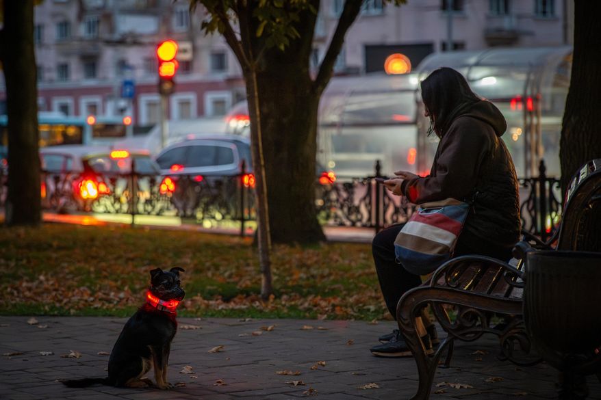 A local resident sits on a bench with her pet dog during a blackout following Russia's air attacks on energy facilities in Chernihiv, Ukraine, late Tuesday, Oct. 7, 2025. (AP Photo/Dan Bashakov)