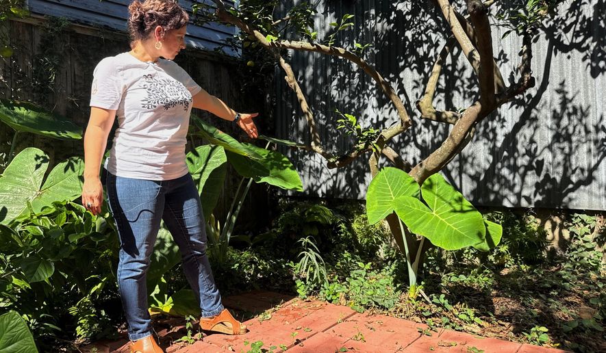 New Orleans resident Daniella Santoro points out the spot in her backyard where her family discovered a 1,900-year-old gravestone for a Roman sailor that had been missing for decades from an Italian museum, on Thursday, Oct. 9, 2025. (AP Photo/Jack Brook)