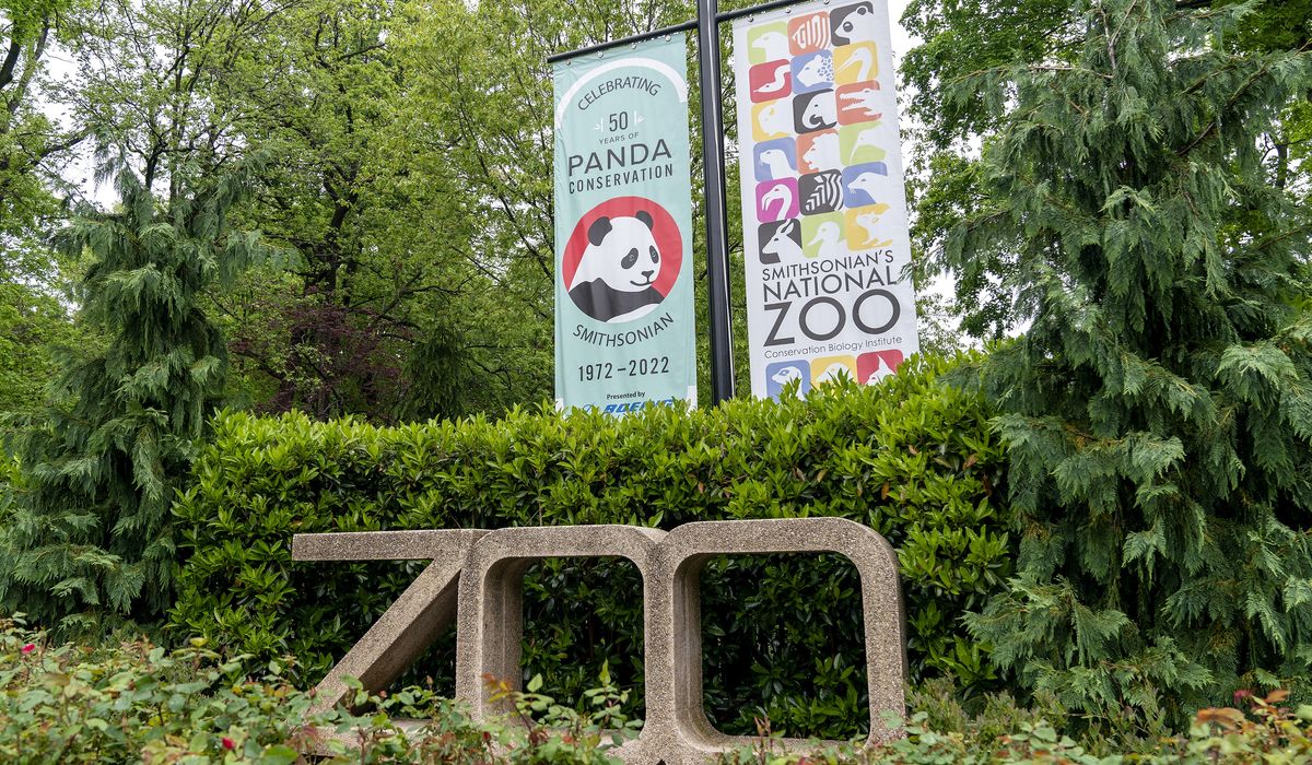 NextImg:Smithsonian’s ‘Boo at the Zoo’ canceled due to government shutdown