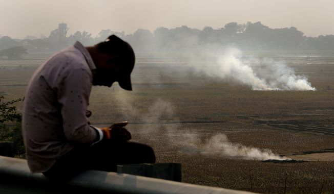 FILE - A person checks his mobile phone as farmers burn crop residue after harvest near Bundelkhand expressway in India, on Nov. 17, 2024. (AP Photo/Manish Swarup, File)