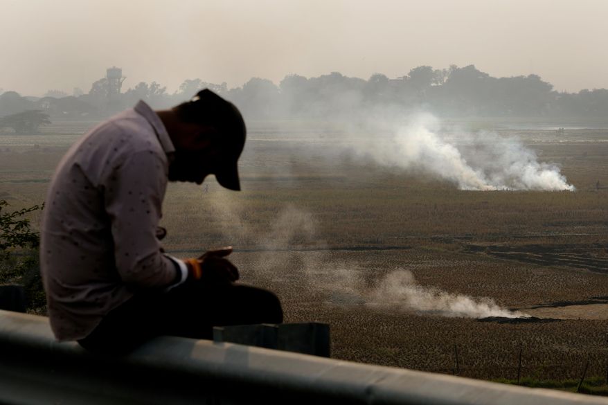 FILE - A person checks his mobile phone as farmers burn crop residue after harvest near Bundelkhand expressway in India, on Nov. 17, 2024. (AP Photo/Manish Swarup, File)
