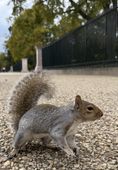 35991B74-0733-45F8-B5F4-32385E062AE1_1_102_a.jpeg