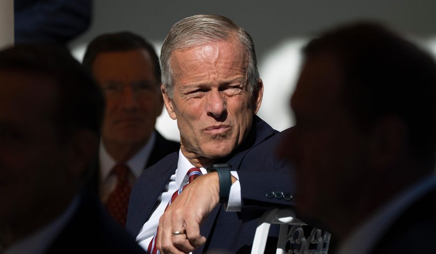 Senate Majority Leader John Thune, R-S.D., listens as President Donald Trump speaks as he hosts a lunch with Republican Senators on the Rose Garden patio at the White House, Tuesday, Oct. 21, 2025, in Washington. (AP Photo/Manuel Balce Ceneta)